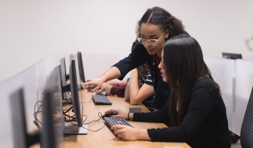 women working at a computer